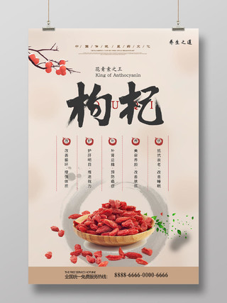 中国风中医文化冬天枸杞冬季养生宣传海报设计